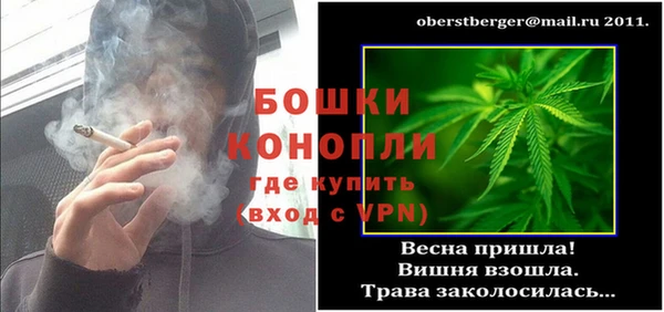 сатива Балахна