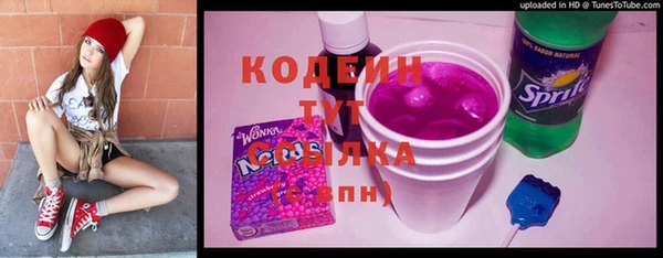 сатива Кинешма