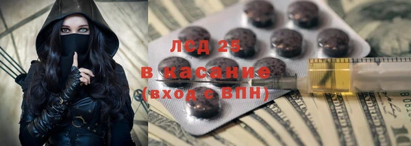 сатива Балахна