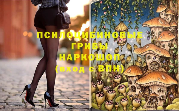 сатива Балахна